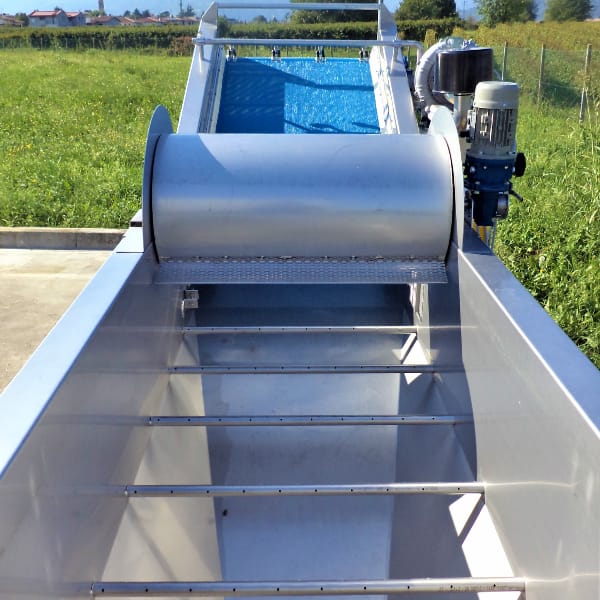 Fruit and vegetable washing tank with extraction belt